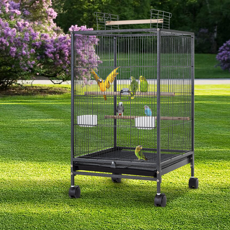 Discount bird outlet cages canada
